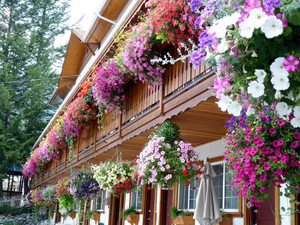 Gateway Motel Radium Hot Springs Extérieur photo